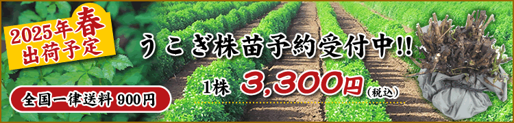 最新情報
