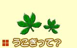 うこぎって?