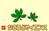 なるほどサイエンス